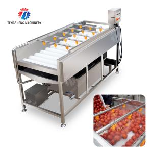 China Potatoes and round tuber crops Carrots and longitudinal root vegetables Onions Ginger Carrot Taro Sweet potato Yam Potato Saiko persimmon Parallel Brush Machine Wash Washer Washing Cleaning wholesale