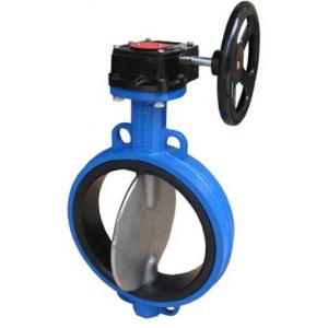 Vulcanized NBR Valve Seat For Wafer / Lug / Flange Butterfly Valve 1 '' - 54 '' Size