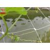 China White Plastic Pea And Bean Netting , Extruded Polyethylene Mesh Netting 3 Meters Width wholesale