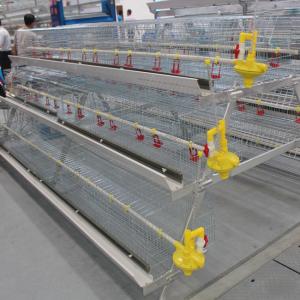 China HDG Steel 3 Tires Battery Cage For Broilers Poultry Farm supplier