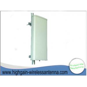 China 3G WLAN Outdoor Directional 14 DBi Base Station Antenna Panel Vertical Polarized supplier