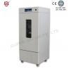 China Vertical Small Electric Lab Drying Oven Chamber With Vacuum Pump 220L wholesale