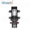 Whaleflo 2 Diaphragm Pumps 24 VOLTS 80psi 4.0LPM Agriculture Power Sprayer