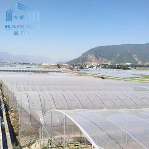 China Cheap Vegetables Tunnel Greenhouse Baolida Tunnel Green House Polytunnel And Multispan Tunnel Greenhouse With Cooling on sale 