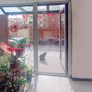 China Smart Home Black Retractable Screen Door Systems Insect Screens supplier