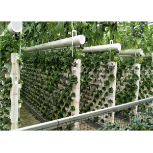 China 3 - 5m Gutter Height Plastic Panels Greenhouse Electric / Manual Rolling Up Vent Design supplier