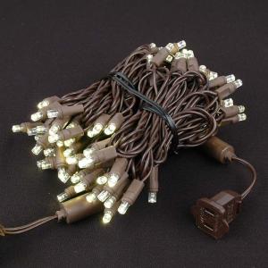 50 LED Warm White LED Christmas Lights on Brown Wire
