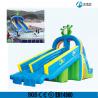 Outdoor Inflatable Frog PVC Water Slide With Swimming Pool For Children