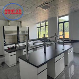 China Stainless Steel Hinge Chemistry Lab Bench Laboratory Desks And Workstations With Steel Cabinet Solution supplier