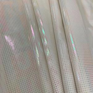 71 GSM Polyester Taffeta Fabric 320t Colourful Hot Silver Foil 50dx50d