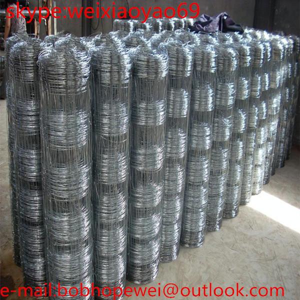 filed farm wire mesh fencing/ grassland wire mesh/cattle fencing mesh/cattle
