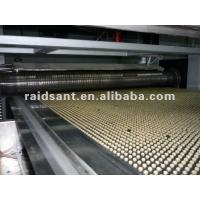 China Paraffin Wax Pastilles Machine , Chemical Pelletizer Machine Stainless Steel on sale