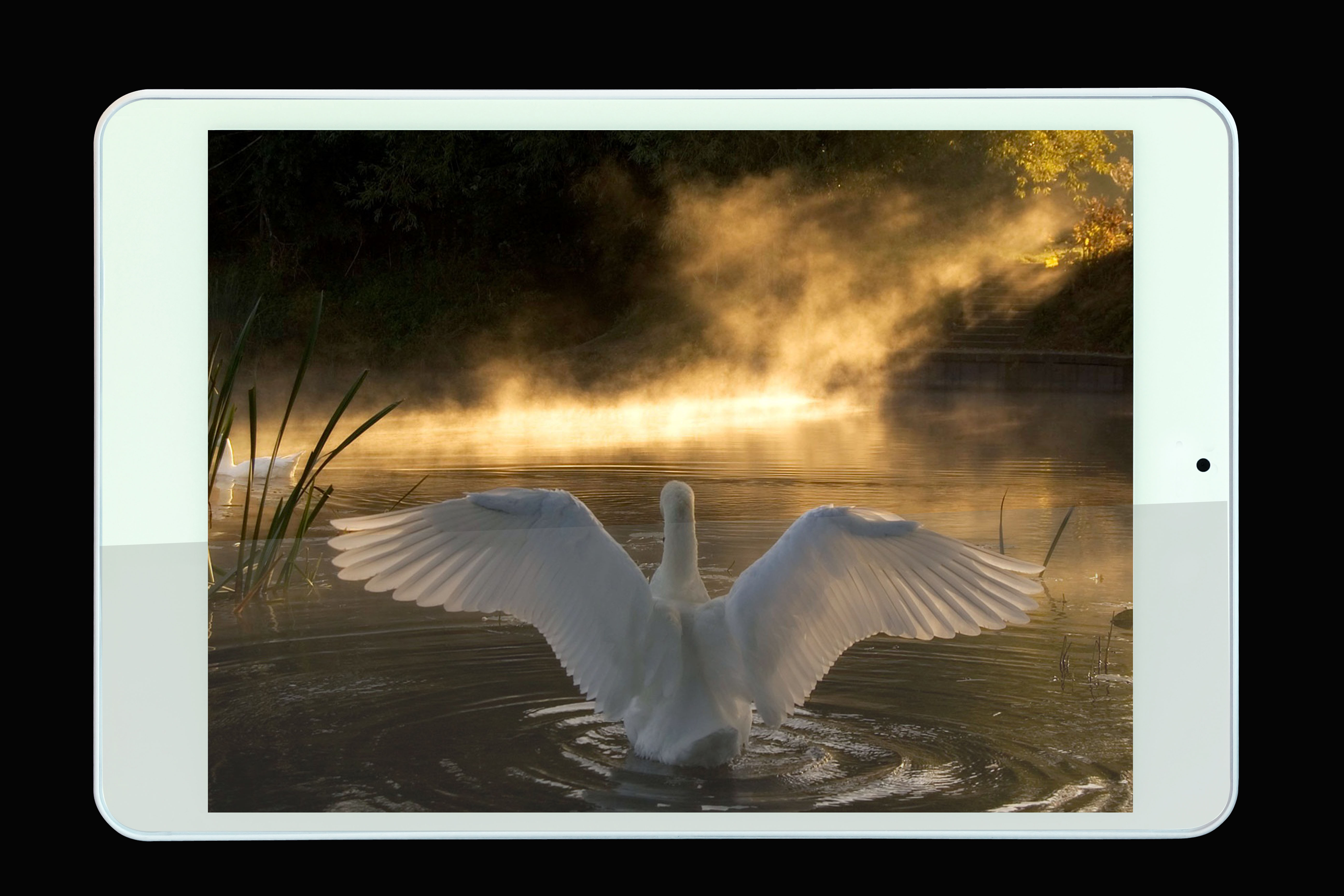China 7,85 RK3188 1.6GHz quad-core, Android 4,2, IPS, 1GB, 8GB, WiFi, cámara dual supplier