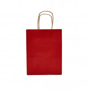 China 5 1/2 X 3 1/4 X 8 3/8 Shopping Full Printed Paper Bags With Handles supplier