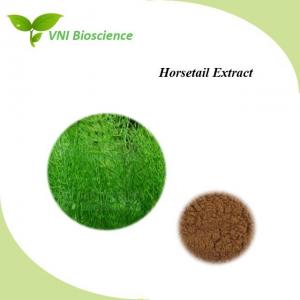 Brown Powder Plant Herbal Extract Anti Virus Equisetum Arvense Extract