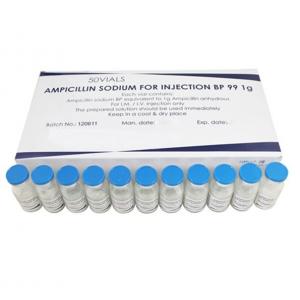 Ampicillin Sodium for Injection 1g/10ml 10vials/box or 50vials/box