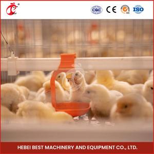 Automated Pullet Baby Battery Chick Brooder Cage For Day Old Layer Grower Chicks Rose