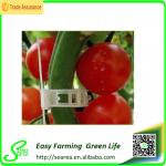 tomato trellis clip clip for tomato tomato grafting clips,tomato trellis clip clip for tomato tomato grafting clips
