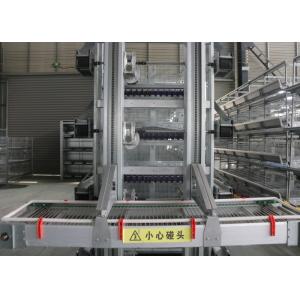 High Efficiency Automatic Egg Collection System / Egg Farm Machinery
