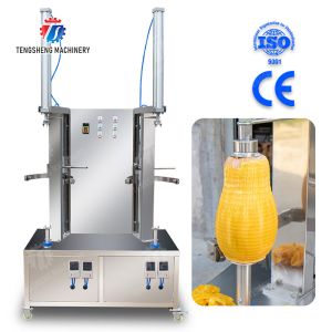 China Machine d'épluchage à double coupe verticale pour légumes : papaye, chieh-qua, citrouille, courge cireuse, ananas, production de transformation supplier