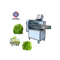 China Adjustable Vegetable Processing Equipment Banana Slicing Salad Cutter Machine on sale
