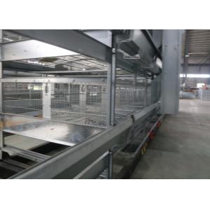 Double Side Automatic Egg Collection System / Egg Farm Machinery Simple Structure