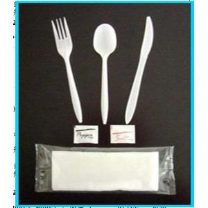 Fast Food Restaurant Plastic Disposable Cutlery Kits With Pepper Salt