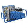 220 volt 50hz single phase/three phase/gasoline engine breathing air compressor