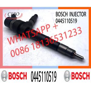China Common Rail Diesel Injector 0445110519 For Mercedes Benz MITSUBISHI Engine supplier