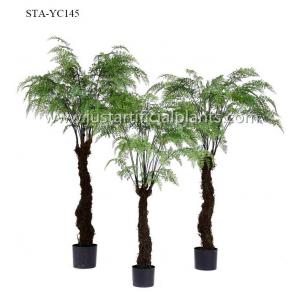 China Tropical Artificial Outdoor Ferns Palm Tree Environmental Customized Size supplier