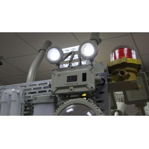 China Factory Direct Zone 1, 2 & Zone 21, 22 Explosion Proof Light Explosion Proof Emergency Light 24 Hrs Charging Time wholesale