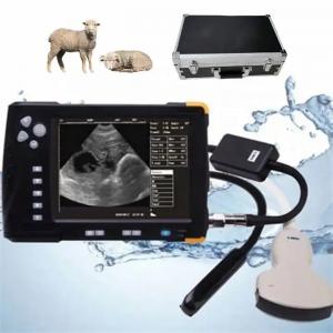 Máquina del ultrasonido del ganado de la memoria 8GB escáner veterinario portátil del ultrasonido de la pantalla LCD de 7 pulgadas