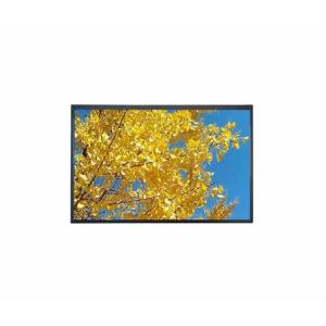 China 10.1' 1920*1080 TFT FHD Module LCD avec norme tactile supplier