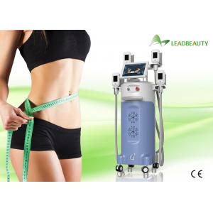 China Best selling CE approved coolplas freeze fat slimming beauty equipment cryolipolysis supplier