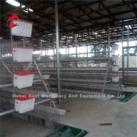 China 380v Manure Removal Equipment Automatic Poultry Chicken House Pig Floor Scraper Ada on sale