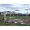 40x80mm 1.8m Galvanized Metal Horse Fence Panels