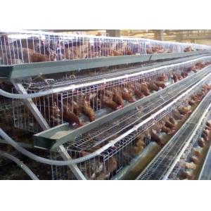 Wire Mesh Layer Chicken Cages Battery Cage With Automatic Chicken Feeding System