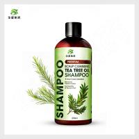 China Odm Tea Tree Oils Anti Hair Loss Shampoo For Oily Hair Scalp Cleansing on sale