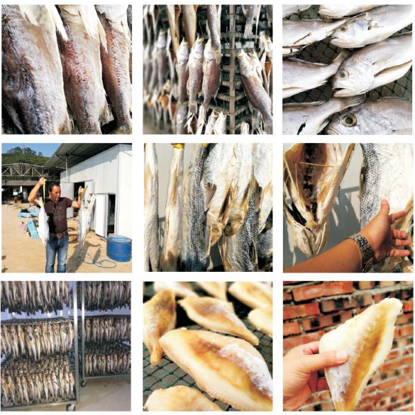 China Déshumidificateur à pompe à chaleur avec humidité réglable de 5 à 99 % HR et déshumidification de 22 kg/heure pour le séchage à basse température wholesale