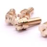 China Vibration-Resistant Custom Brass Threaded Fastener – Engineered for Medical Devices & Industrial Automation wholesale