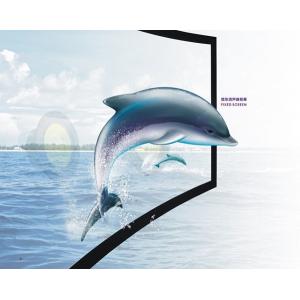 China 3D Silver Immersive curved theater screen , home cinema projection screen supplier
