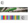 China High Definition Motion 3D Lenticular Ruler Animal Design For Students wholesale