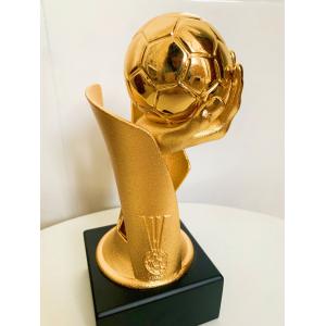 China Handball Custom Engraved Trophy As Prizes For Winners In Hand Ball Game supplier