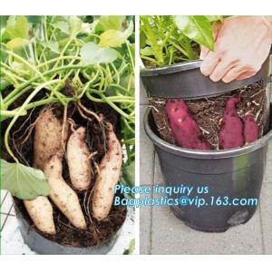 Tomato Potato Carrot Onion Peanut Growing Pot Garden Planter Pot,PP Potato Grow Pot Planting Bag, Bagplastics, Bagease