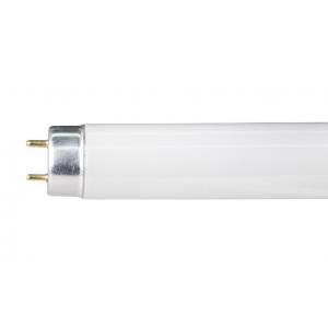 China 83 CRI T8 Tri-phosphor Tubular Fluorescent Lamp G13 10000hours supplier