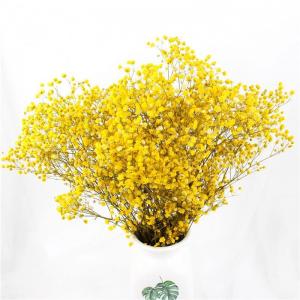 China Immortal Preserved Babys Breath Wedding Bouquets Last For 2-3 Years supplier