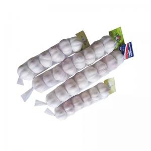 China Industrial Drawstring Sinbom Plastic Garlic Mesh Bag for Agriculture and Farmin supplier