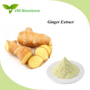 Relieve Nausea 5%-10% Gingerol Ginger Extract Natural Gingerol