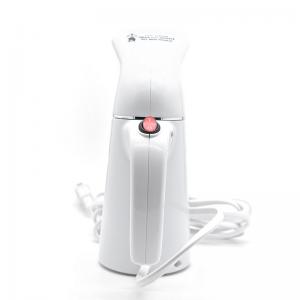 China 700W Safe Electric Travel Garment Steamer 220V Dual Safety Protection System supplier