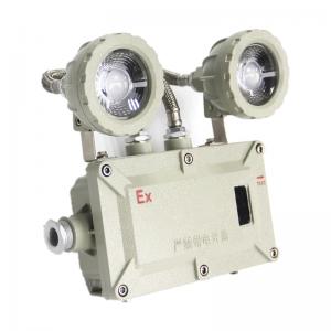 Outdoor Explosion Proof Emergency Lights IP66 36 Vac 2*5W Emergency Lamps Rechargable Led